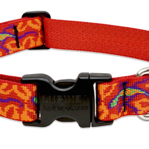Lupine Adjustable Collar Pet Positive