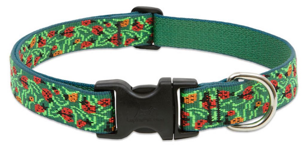 Lupine Adjustable Collar - Pet Positive